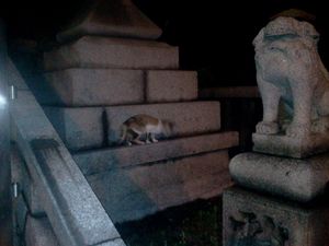 2011-06-12 22.39.32.jpg
