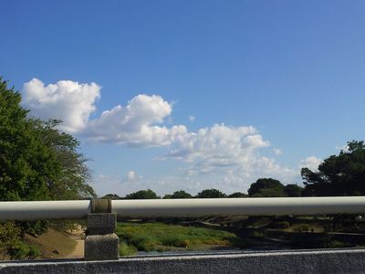2012-09-25 14.49.00.jpg