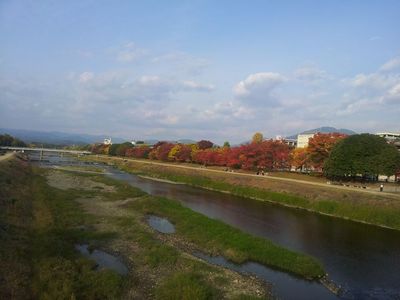 2012-11-08 14.56.55.jpg