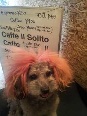 2013-06-30 17.49.06.jpg