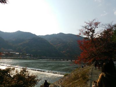 2013-11-17 13.39.18.jpg