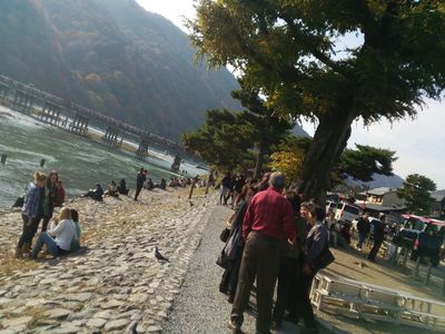 2013-11-17 13.41.08.jpg
