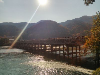 2013-11-17 13.42.47.jpg