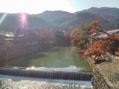 2013-11-17 13.49.57.jpg