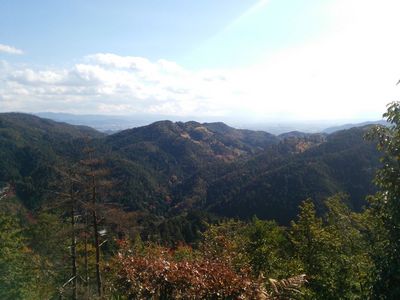 DSC_0539.jpg