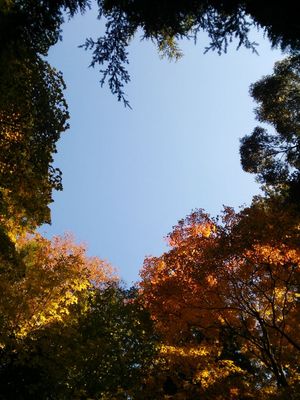DSC_0561.jpg