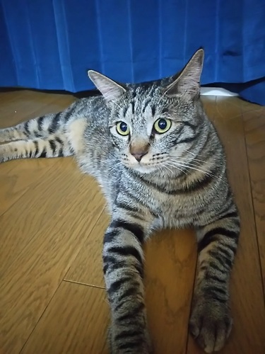 DSC_1185.JPG