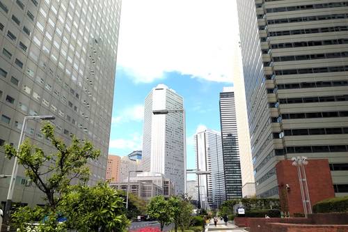 IMG_20220416_1228143.jpg