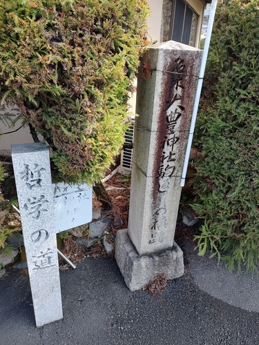 IMG_20250406_101312975_HDR.jpg