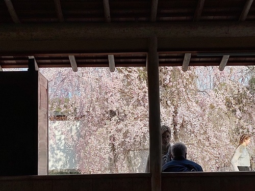 IMG_20250411_160040914_HDR.jpg