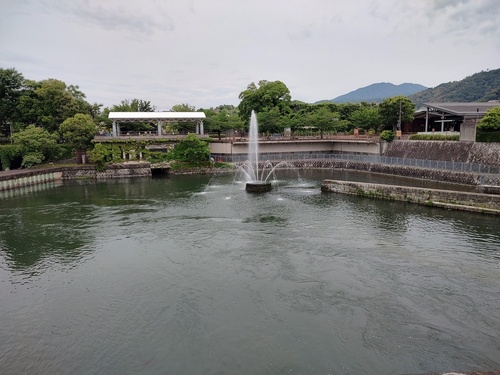 IMG_20250529_084222000_HDR.jpg