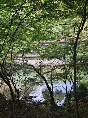 IMG_20250621_153858288_HDR.jpg