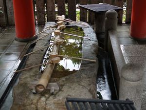 P1010009.jpg