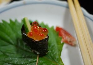 P1010411.jpg