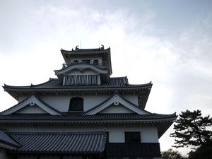 P1010996.jpg