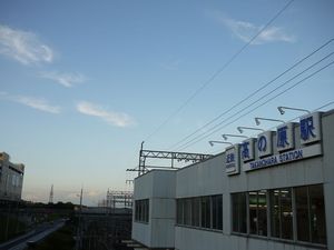 P1020139.jpg