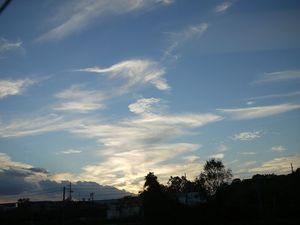 P1020144.jpg