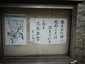 P1070498.jpg