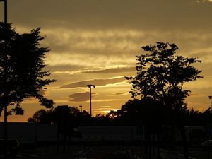 P1080458.jpg