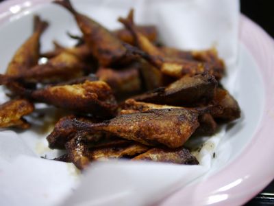 P1080655.jpg