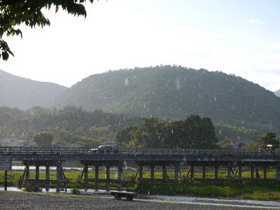 P1080860.jpg