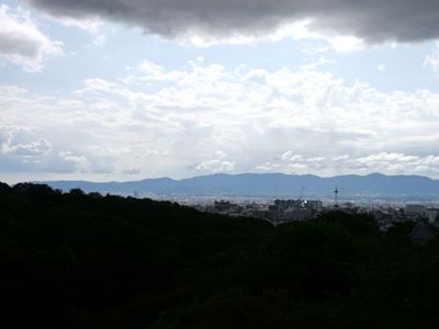 P1090197.jpg