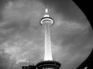 P1110839.jpg