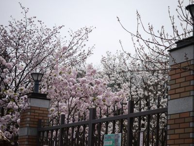 P1140879.jpg