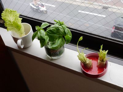 P1140932.jpg