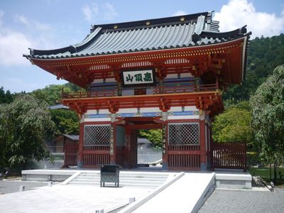 P1170538.jpg