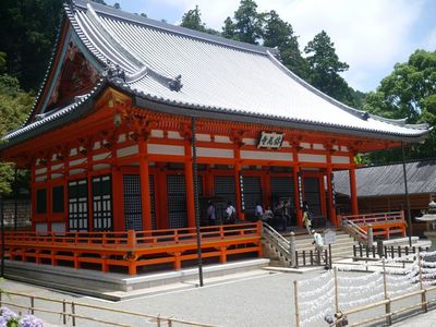 P1170561.jpg