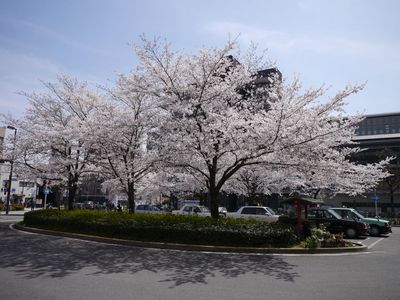 P1220321.jpg