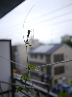 P1220895.jpg