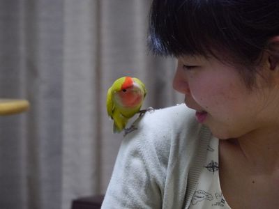 P1230488.jpg