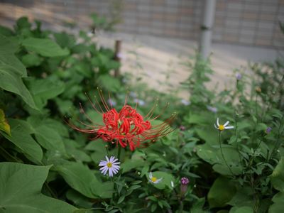 P1240321.jpg