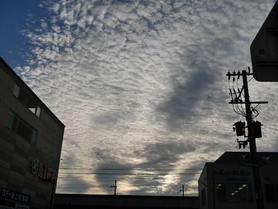 P1240335.jpg