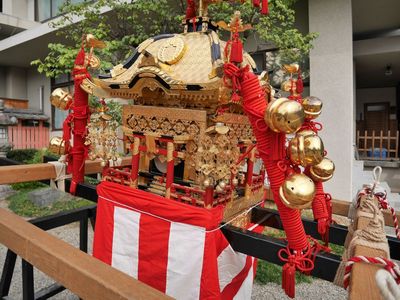 P1260647.jpg