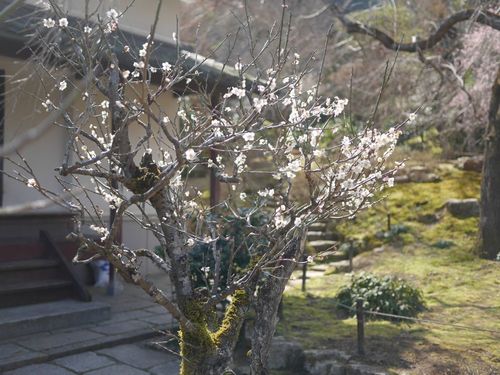 P1390929.jpg