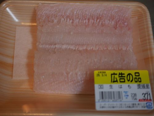 P1400007.jpg