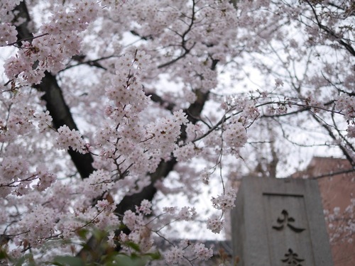 P1500246.jpg