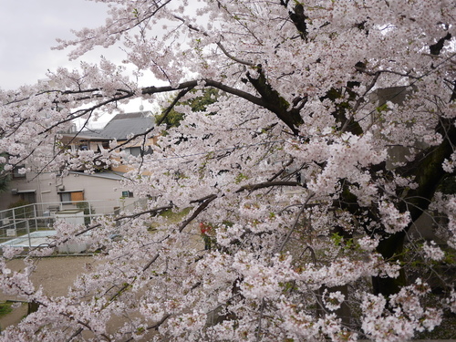 P1500451.JPG