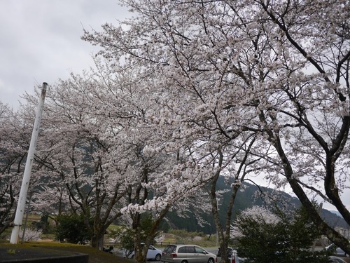 P1500553.jpg