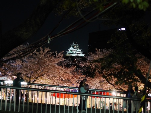 P1500793.jpg