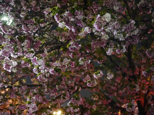 P1500846.jpg