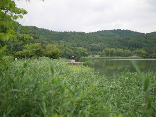 P1510236.jpg