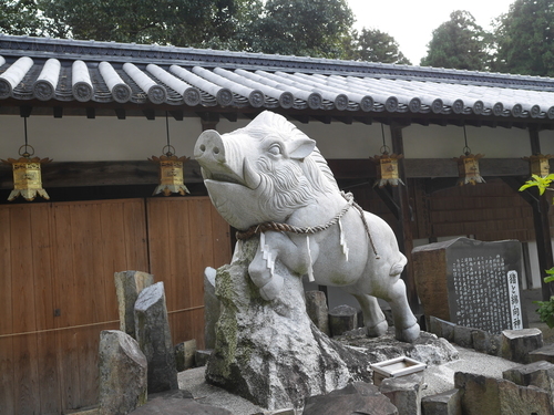 P1570551.JPG