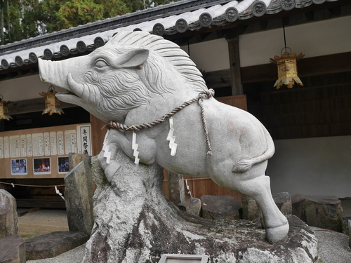 P1570556.JPG