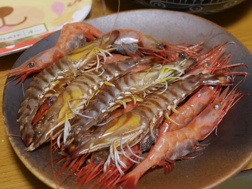 P1570737.JPG