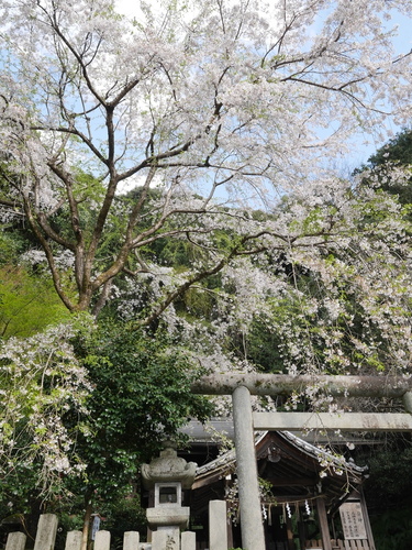 P1580260.JPG