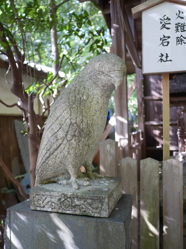 P1580269.JPG